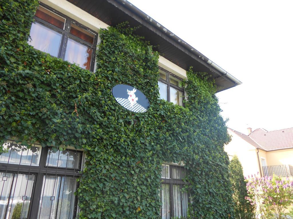 Hotel White Rabbit Hall Poděbrady Exterior foto